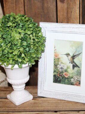 NEW Shabby French Country Farmhouse Boxwood Topiary Hummingbird Floral Picture